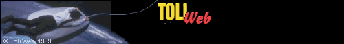 Toliweb - Diseñamos su sitio en Internet